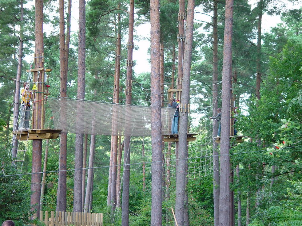 Go-Ape Zip Sliding at nearby Alice Holt Forest